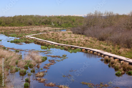 National park Ispani in Kobuleti, Georgia. photo