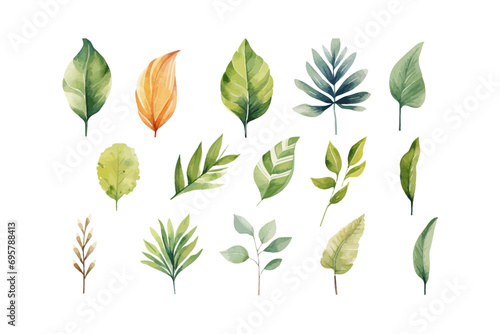 Watercolor leaf clipart for graphic resources. Vector illustration design.