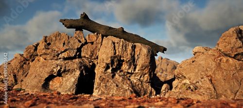 Fallen dead tree trunk on sandstone rock formation in sunlight under a blue sky with some clouds.