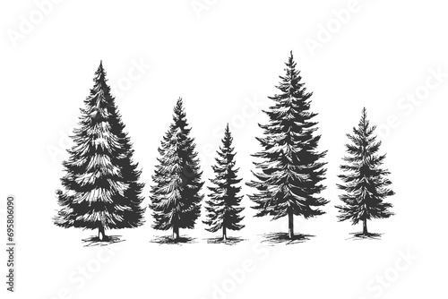 Christmas tree hand drawn. Vector illustration design.