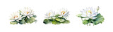 Watercolor white lotus set. Vector illustration design