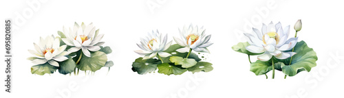 Watercolor white lotus set. Vector illustration design photo