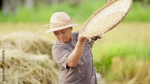 Asian woman farmer winnowing or sifting rice in field, straw hat on photo
