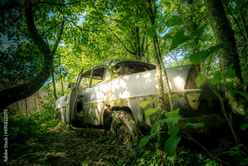 The abandoned rotten cars in the forest
