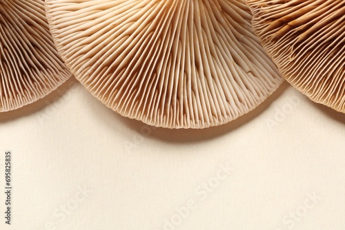 Raw forest mushrooms on beige background, top view. Space for text