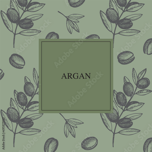 Argan sketch background label for text. Template card hand drawn engraved plant Argana tree with leaves fruits vector illustration. Cosmetics ingredient, argan oil, harvest, tree Berbers and Arab