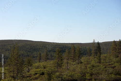 A view of the fell on a beautiful summer day in Finnish Lapland