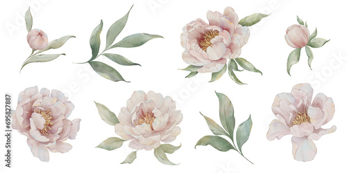 Watercolor floral peony clip art. Romantic peonies and leaves photo