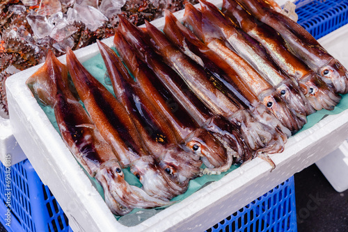 朝市　ヤリイカ　生イカ