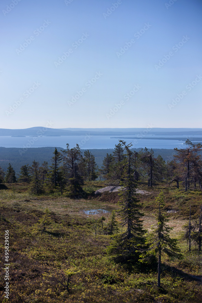 A summer view from the fells in northern Finland A summer view from the fells in northern Finland