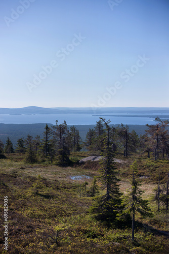 A summer view from the fells in northern Finland