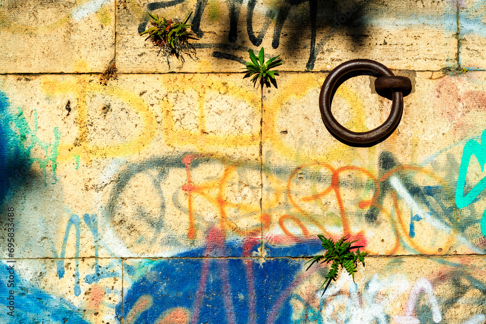 Plantes et graffitis sur les murs de la ville Plantes et graffitis sur les murs de la ville