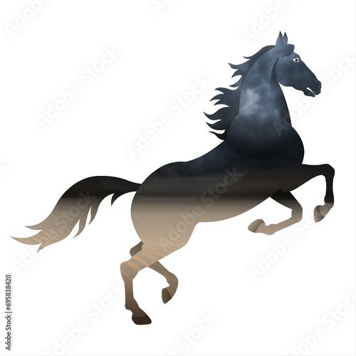 Horse with a black mane running in the wind on a white background