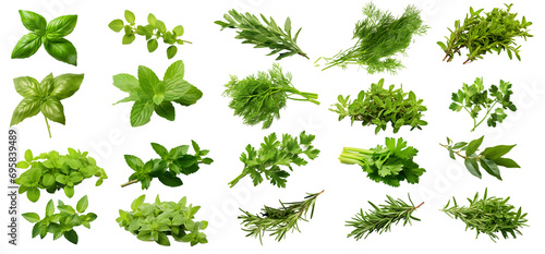 Isolated Herbs Collection Elements: Fresh Aromatic Varieties with Transparent Background - PNG Elements, Kitchen Essentials, Flavorful Garnishes, Healthy Cooking, Food Preparation, Organic Herb Garden