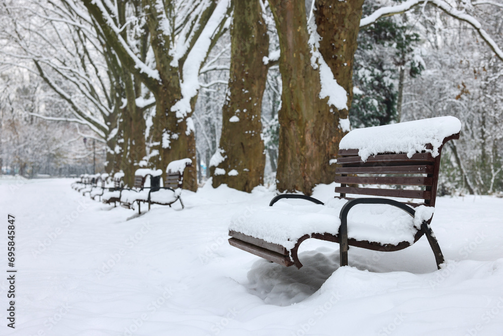 Benches covered with snow and trees in winter park, space for text