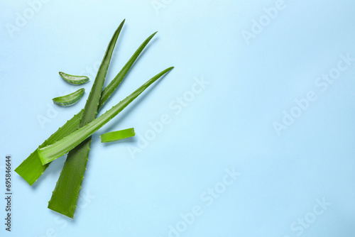 Cut aloe vera leaves on light blue background  flat lay. Space for text