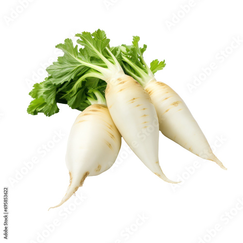Daikon on transparent background. Design for organic shops, grocery shops and markets.