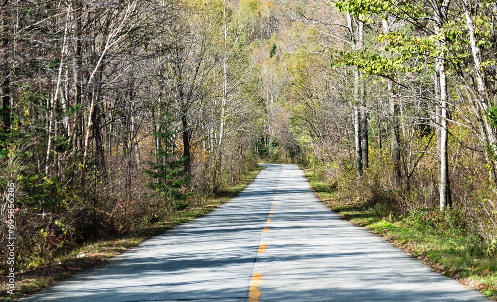 Curved road with trees and grass on roadside Curved road with trees and grass on roadside