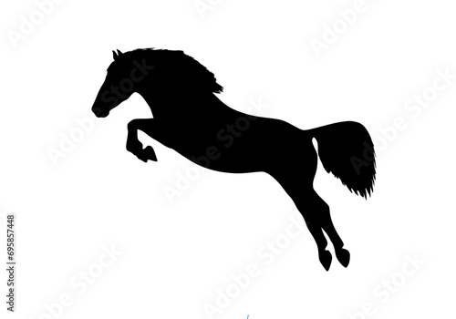 horse silhouette isolated on white