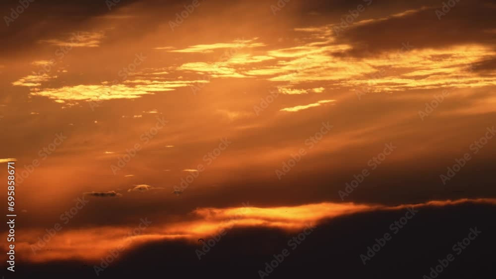 Sunset in the wetland and passing birds Sunset in the wetland and passing birds