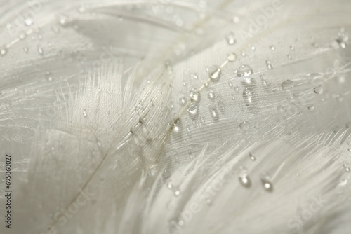 Many fluffy white feathers with water drops as background, closeup