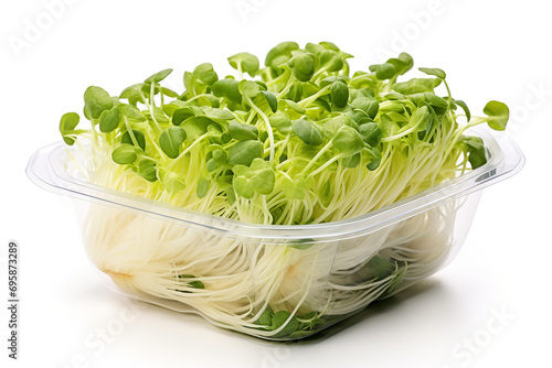 Fresh sprouts of kohlrabi in plastic bowl isolated on white background