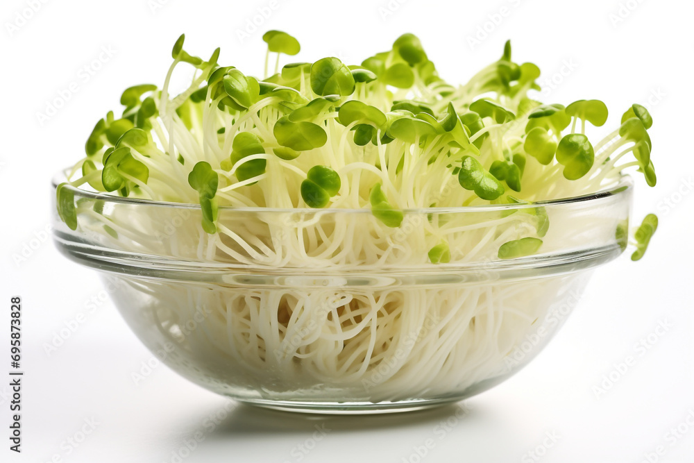 Fresh sprouts of kohlrabi in plastic bowl isolated on white background Fresh sprouts of kohlrabi in plastic bowl isolated on white background