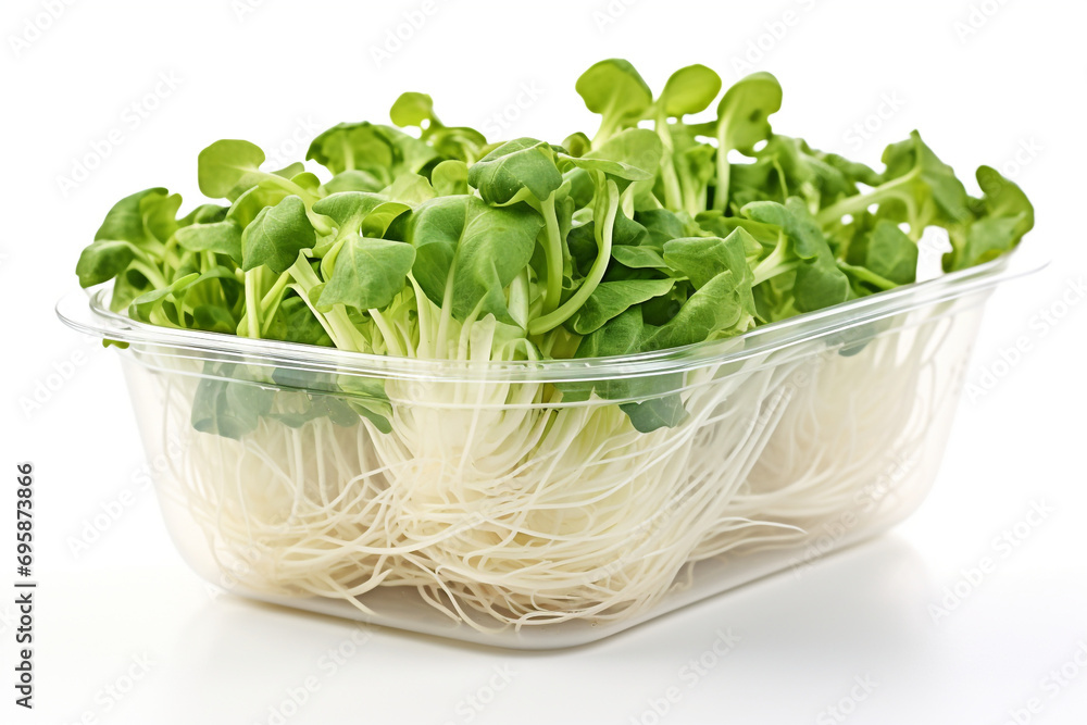 Fresh sprouts of kohlrabi in plastic bowl isolated on white background Fresh sprouts of kohlrabi in plastic bowl isolated on white background