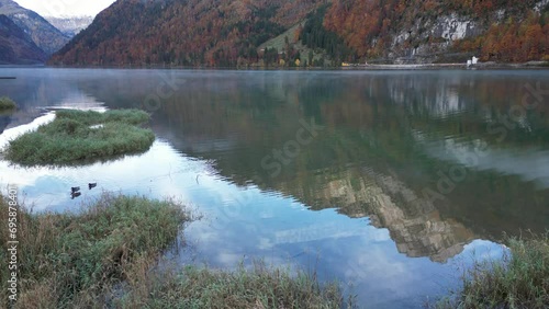 lake with ducks and floating grass patches in the valley between the alpine mountains region photo