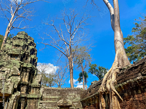 Ta Prohm, a mysterious temple of the Khmer civilization, located on the territory of Angkor in Cambodia photo