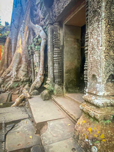 Ta Prohm, a mysterious temple of the Khmer civilization, located on the territory of Angkor in Cambodia photo