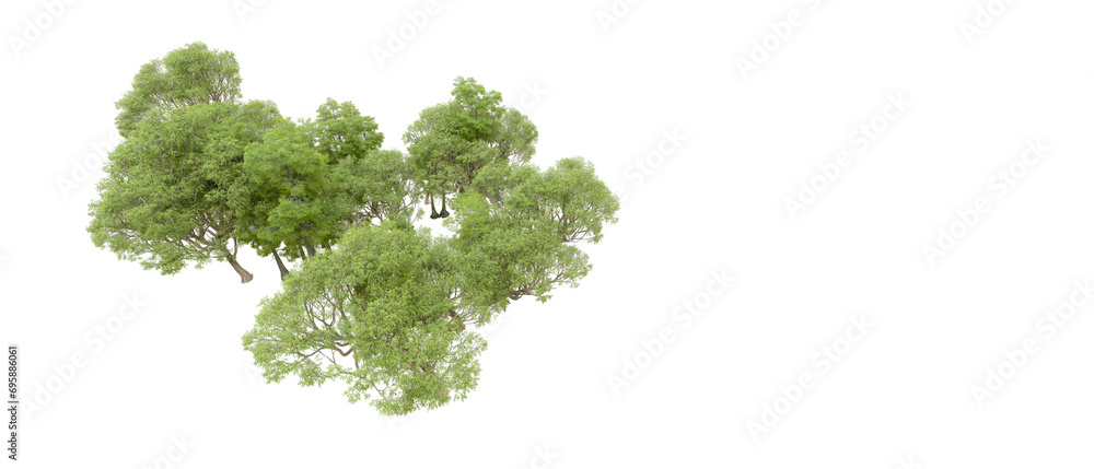 Obraz premium Green forest isolated on background. 3d rendering - illustration