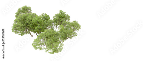 Green forest isolated on background. 3d rendering - illustration