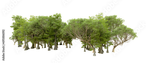 Fototapeta Naklejka Na Ścianę i Meble -  Green forest isolated on background. 3d rendering - illustration