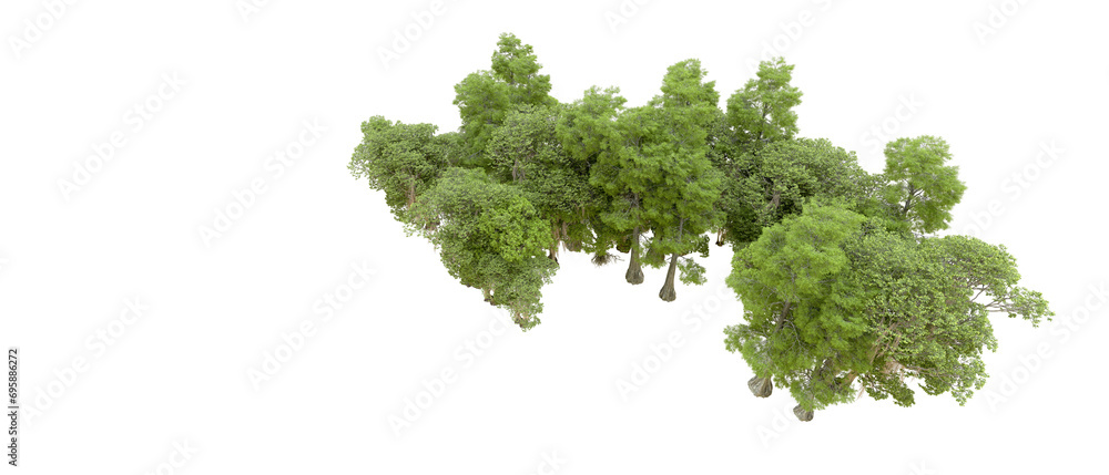 Obraz premium Green forest isolated on background. 3d rendering - illustration