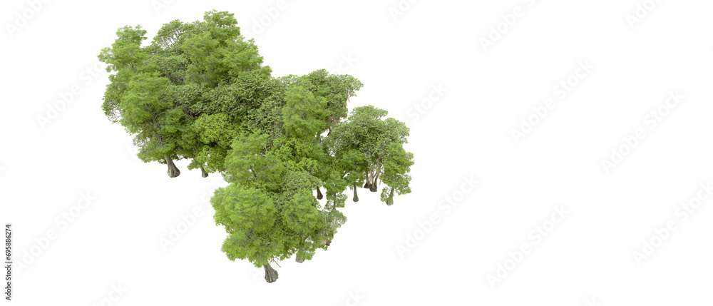 Green forest isolated on background. 3d rendering - illustration Green forest isolated on background. 3d rendering - illustration