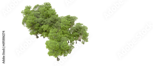 Green forest isolated on background. 3d rendering - illustration