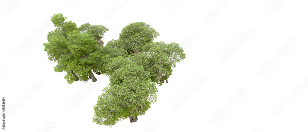 Green forest isolated on background. 3d rendering - illustration Green forest isolated on background. 3d rendering - illustration