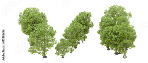 Green forest isolated on background. 3d rendering - illustration