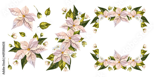 Poinsettia. Set of frames of snow-white flowers. Christmas interior flower. New Year watercolor illustration. For background design, packaging, invitation, card. Save the date