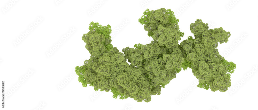Green forest isolated on background. 3d rendering - illustration Green forest isolated on background. 3d rendering - illustration