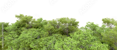 Green forest isolated on background. 3d rendering - illustration