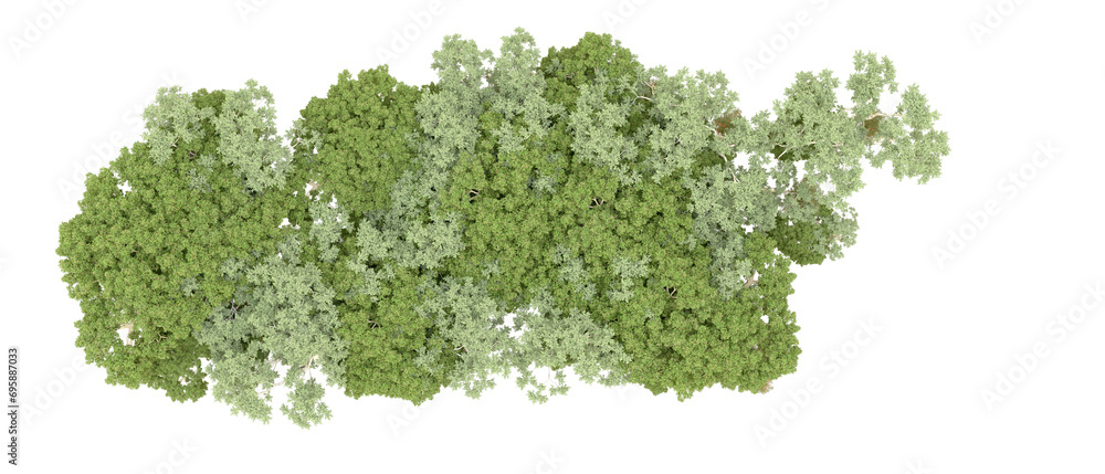 Obraz premium Green forest isolated on background. 3d rendering - illustration
