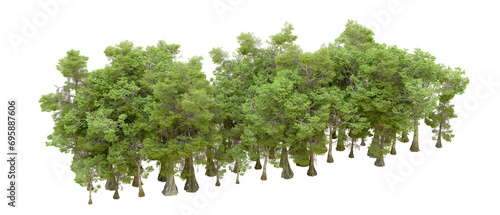 Green forest isolated on background. 3d rendering - illustration