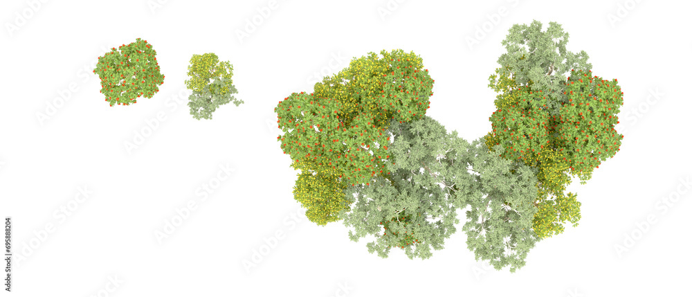 Green forest isolated on background. 3d rendering - illustration Green forest isolated on background. 3d rendering - illustration