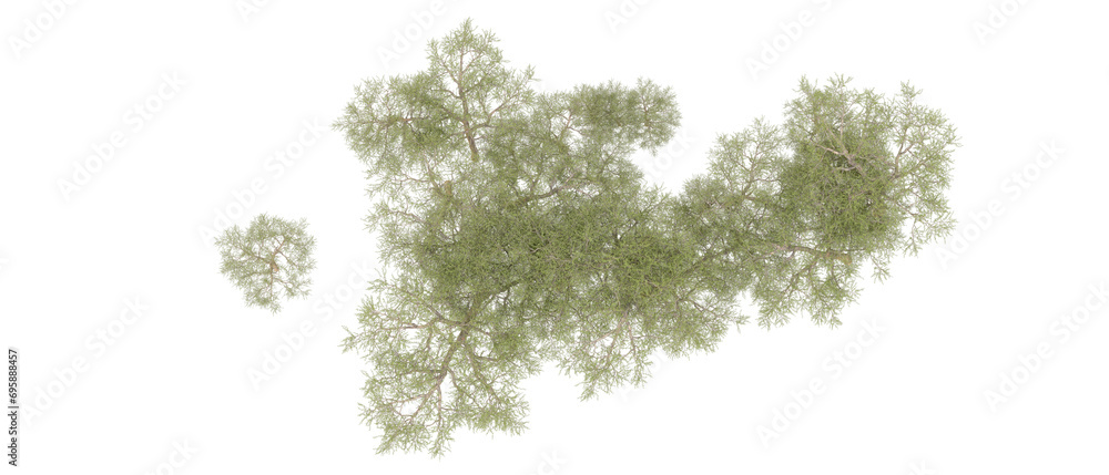 Obraz premium Green forest isolated on background. 3d rendering - illustration