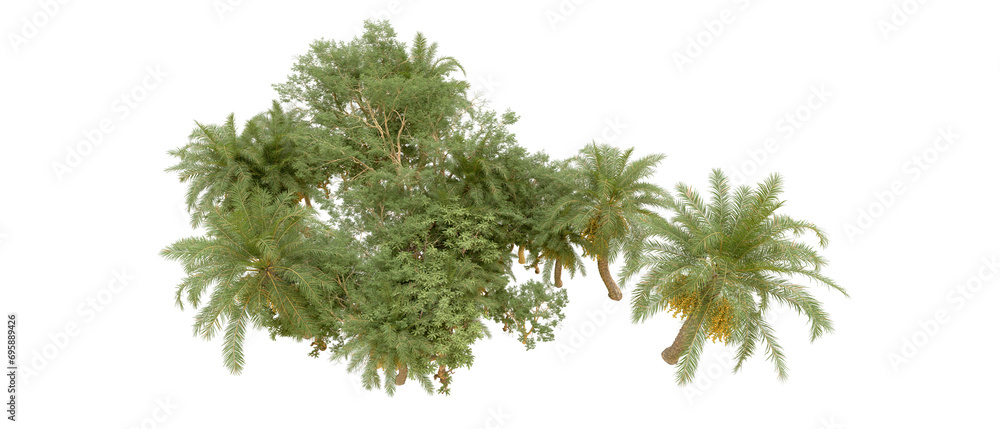 Green forest isolated on background. 3d rendering - illustration Green forest isolated on background. 3d rendering - illustration