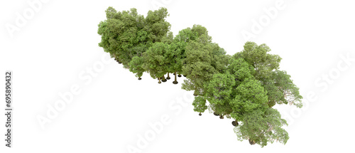 Green forest isolated on background. 3d rendering - illustration