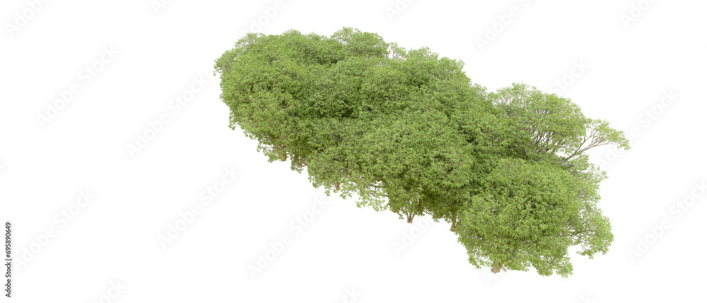 Obraz premium Green forest isolated on background. 3d rendering - illustration