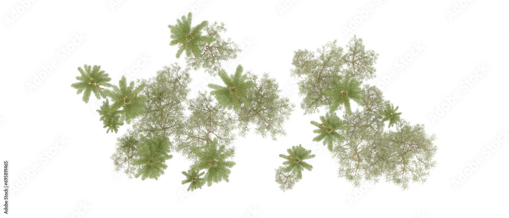 Green forest isolated on background. 3d rendering - illustration Green forest isolated on background. 3d rendering - illustration